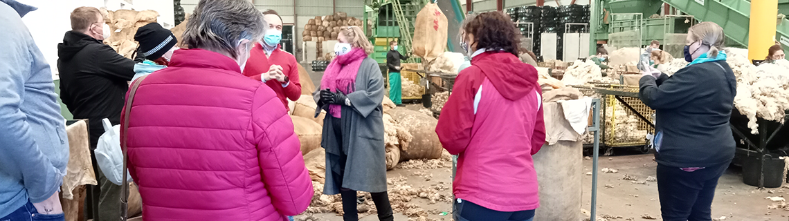 Villanueva de la Serena: sheep cooperative, wool processing plant